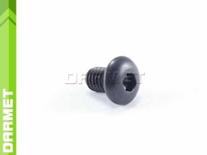 Screw for support plate (SSS04008)