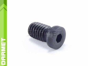 Screw for support plate (SSC0812)