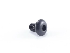 Screw for support plate (SSS04008)