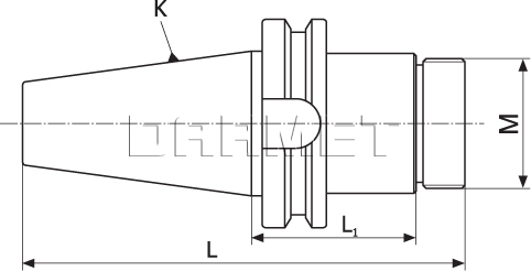 Shank for boring head MAS 403-BT